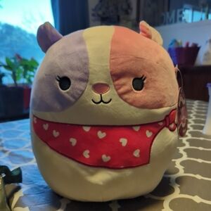 Niven the guinea pig